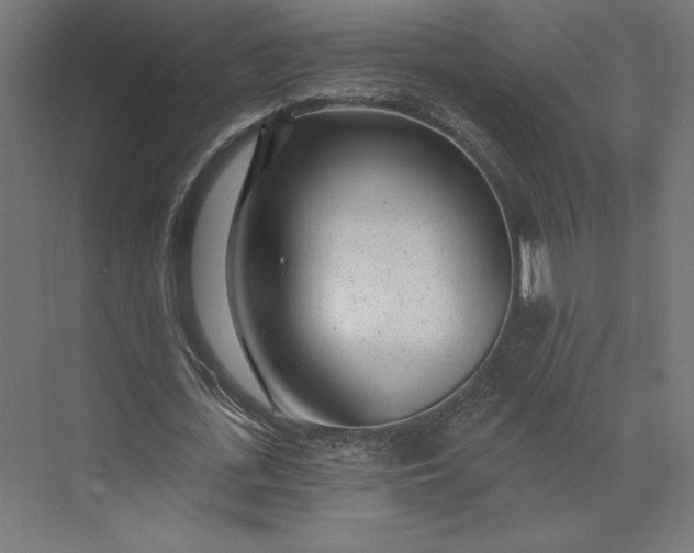 X0000074040723200609061207