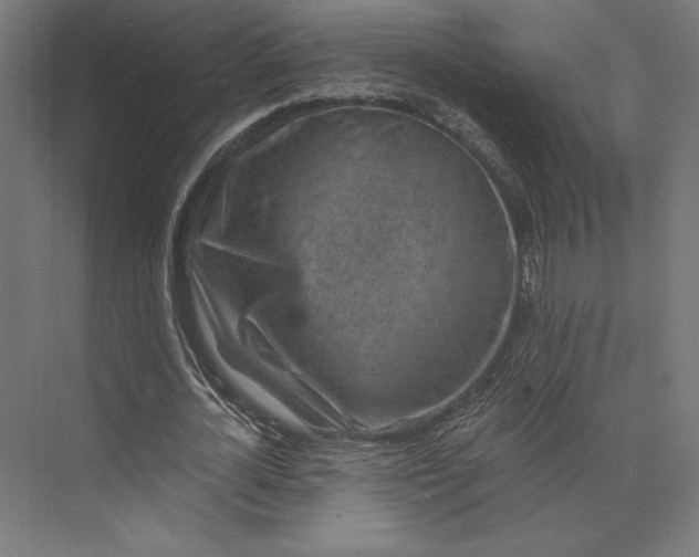 X0000074040724200609061207