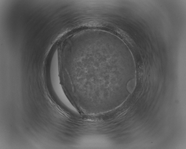 X0000074040727200609061207