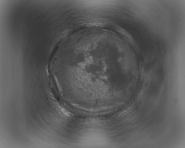 X0000074040729200609061207