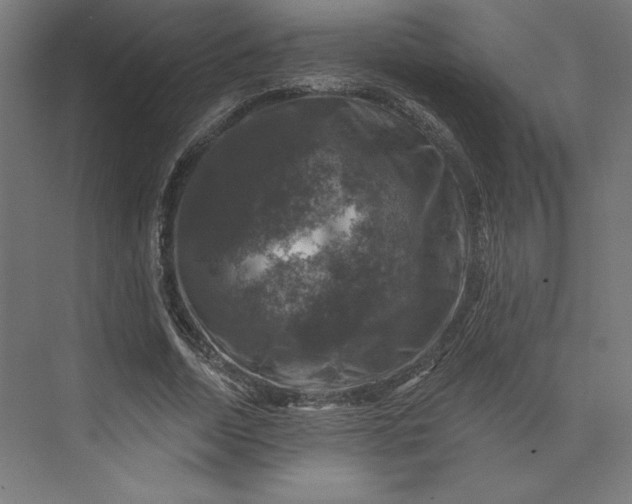 X0000074040730200609061207