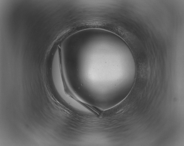 X0000074040731200609061207