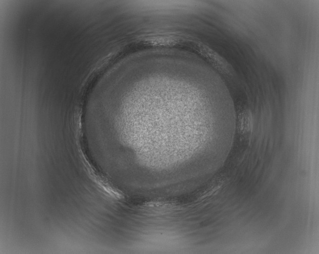 X0000074040733200609061207