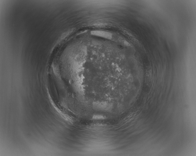 X0000074040734200609061207