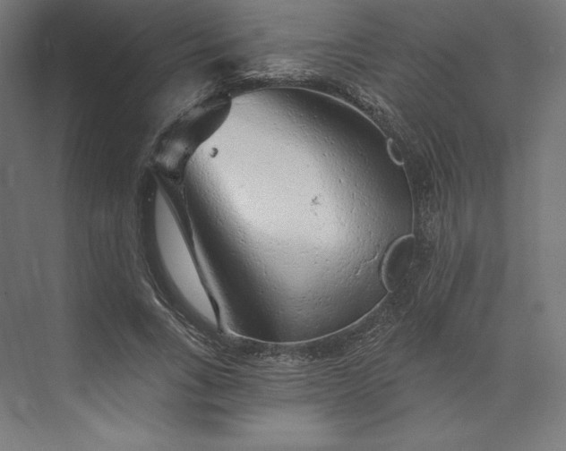 X0000074040735200609061207