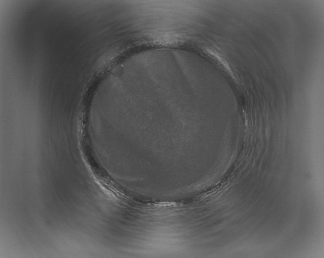 X0000074040736200609061207