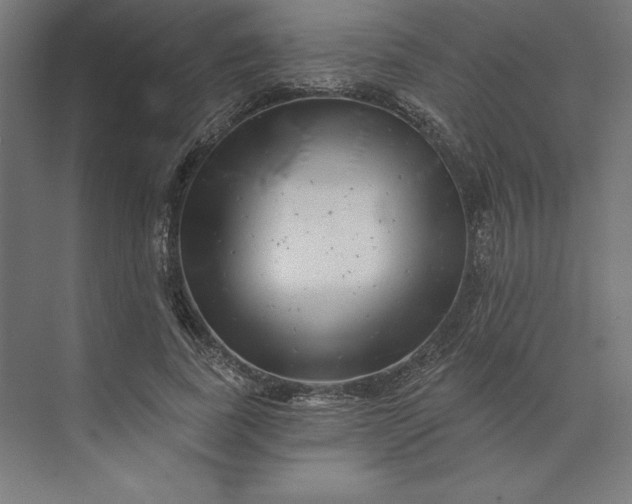 X0000074040739200609061207