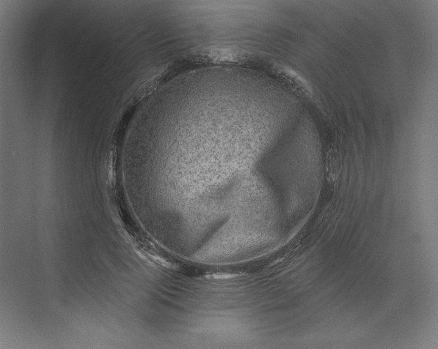 X0000074040740200609061207