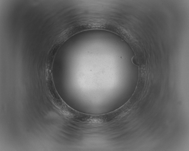 X0000074040741200609061207