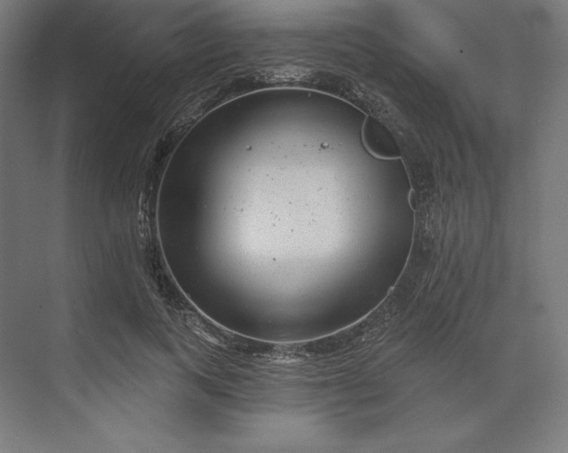 X0000074040743200609061207