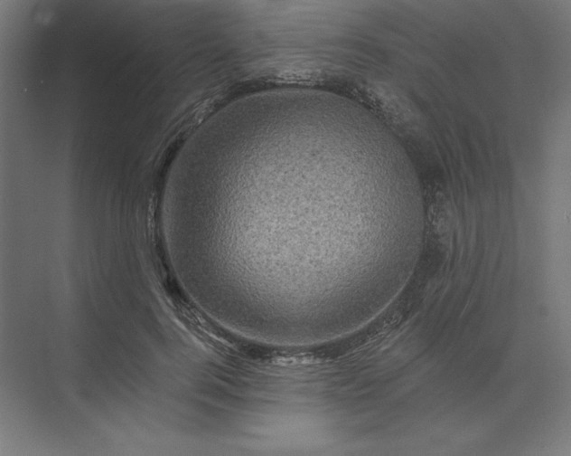 X0000074040744200609061207