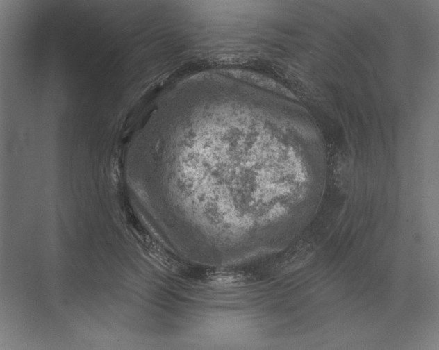 X0000074040746200609061207