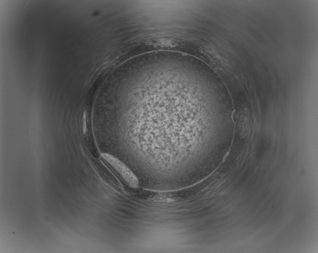 X0000074040747200609061207