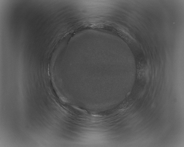 X0000074040748200609061207