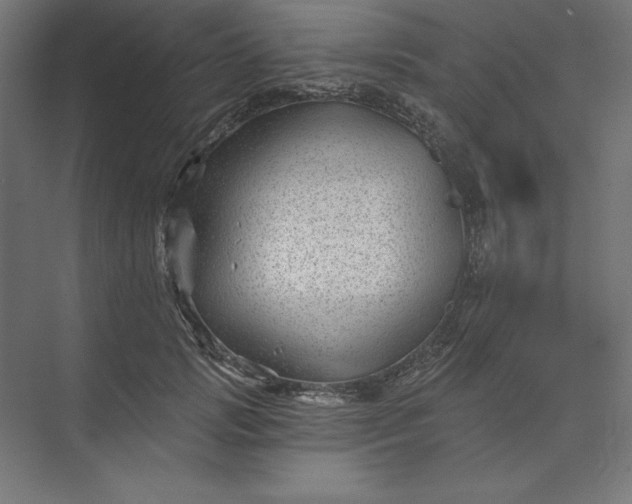 X0000074040749200609061207