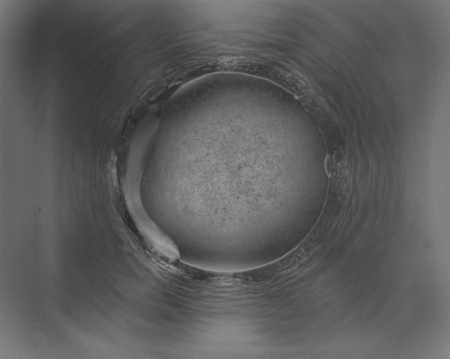 X0000074040750200609061207