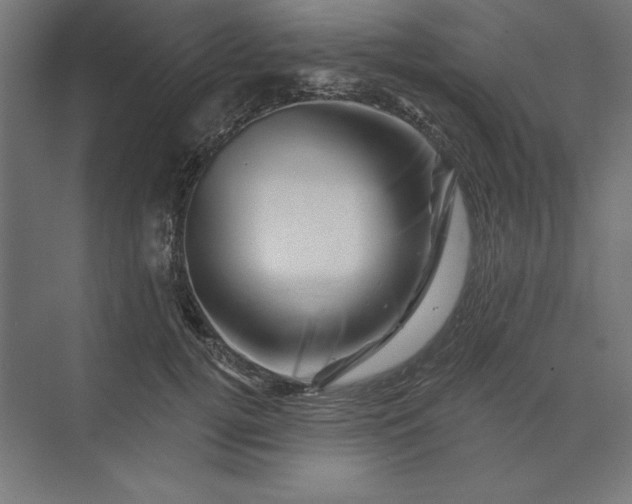 X0000074040752200609061207