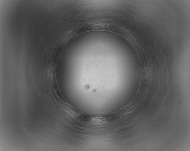 X0000074040753200609061207