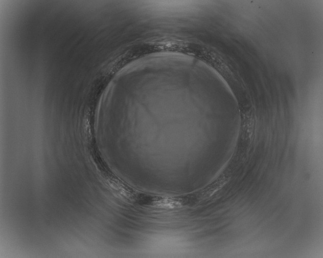 X0000074040754200609061207