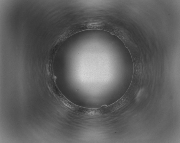 X0000074040755200609061207