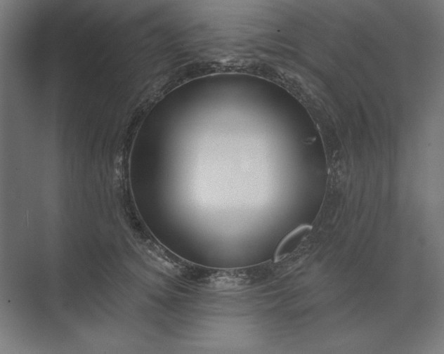 X0000074040756200609061207