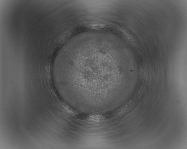 X0000074040757200609061207