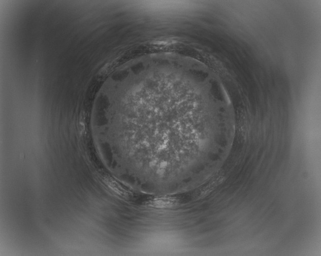 X0000074040758200609061207