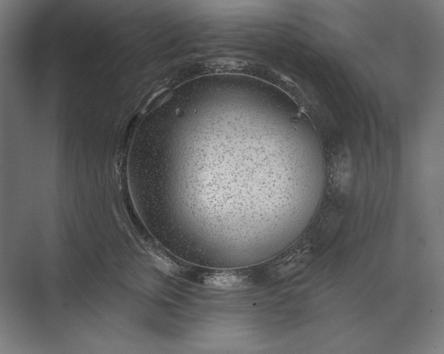 X0000074040759200609061207