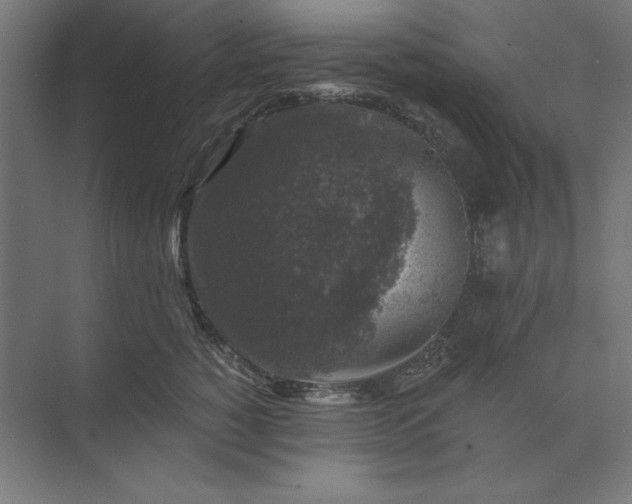 X0000074040760200609061207