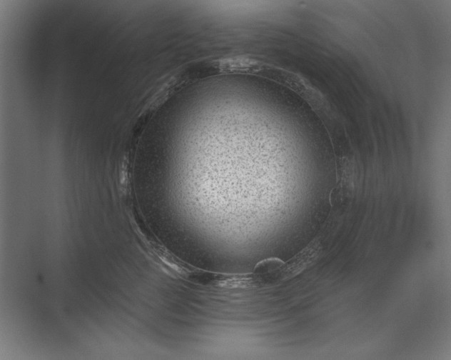 X0000074040761200609061207