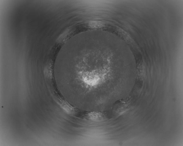 X0000074040762200609061207