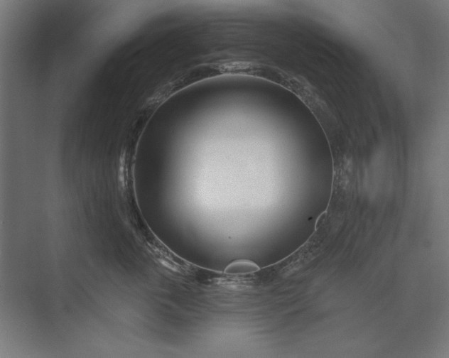 X0000074040763200609061207