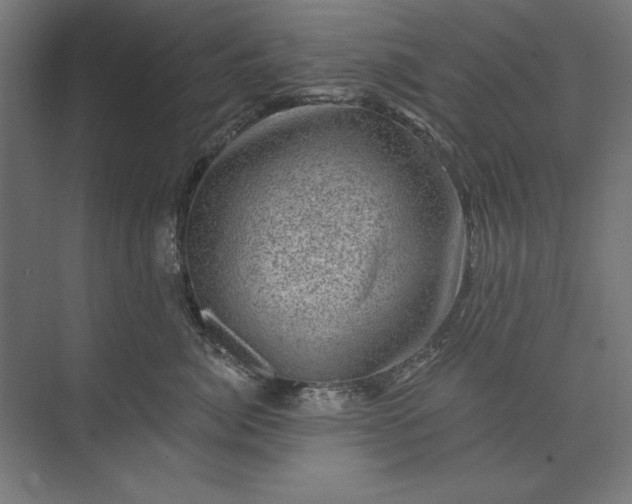 X0000074040764200609061207