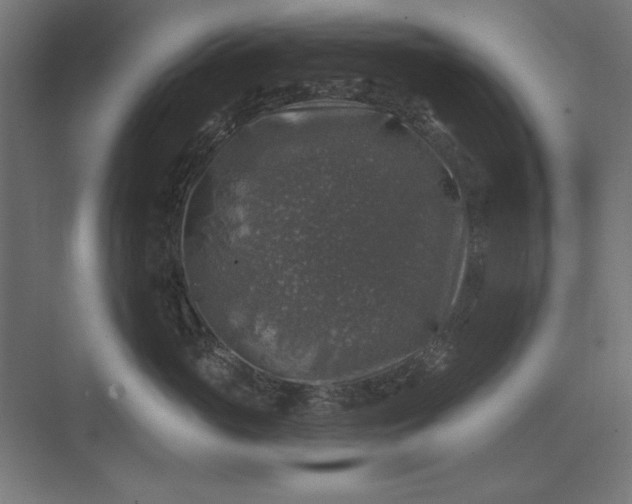 X0000074040765200609061207