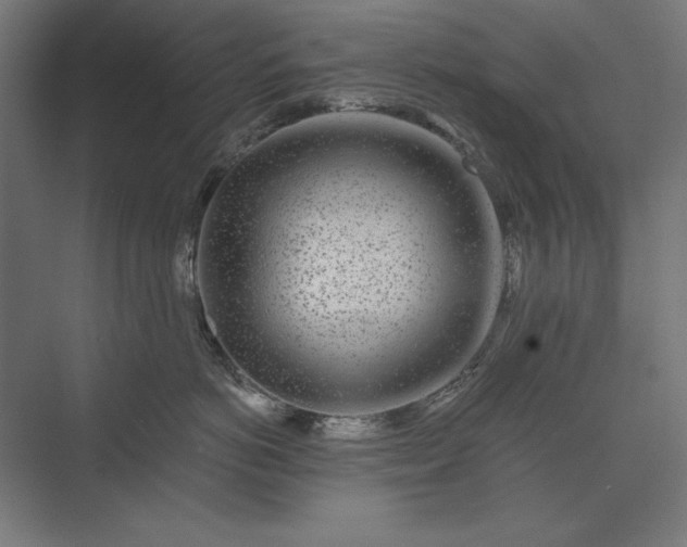 X0000074040766200609061207