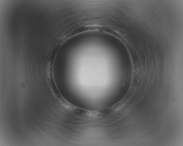 X0000074040767200609061207