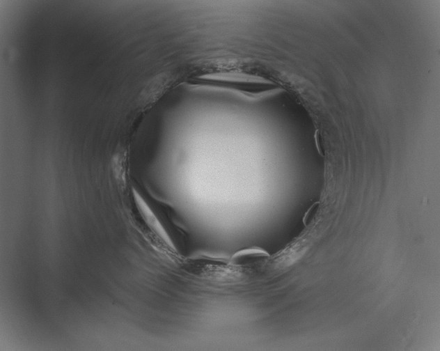 X0000074040768200609061207