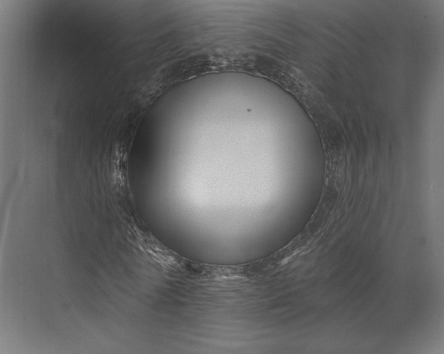 X0000074040770200609061207