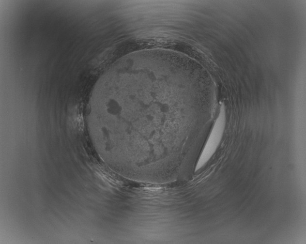 X0000074040771200609061206