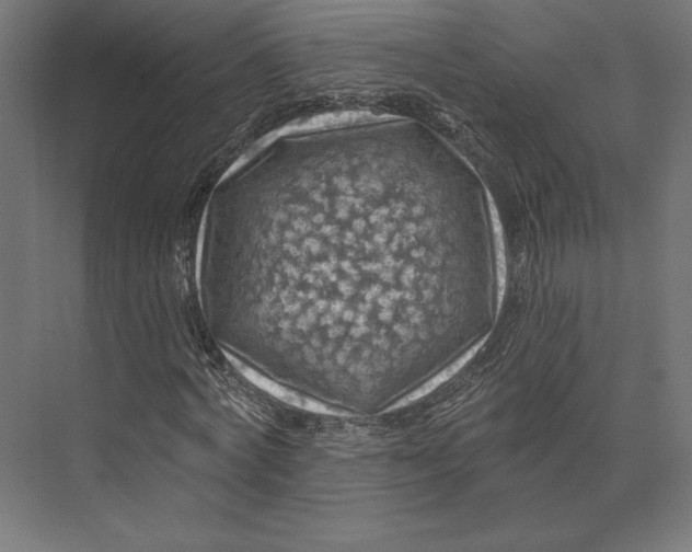 X0000074040772200609061206