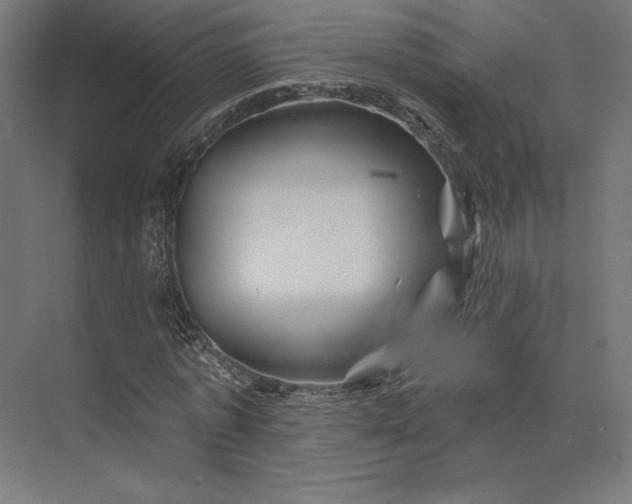 X0000074040773200609061206