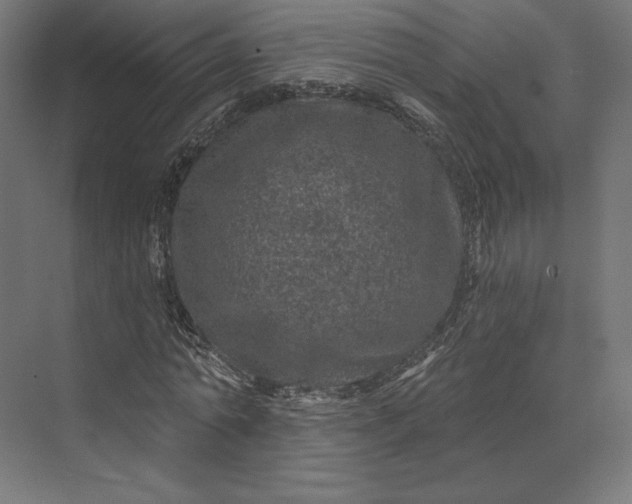 X0000074040774200609061206