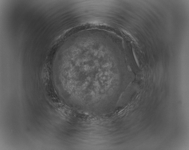 X0000074040776200609061206