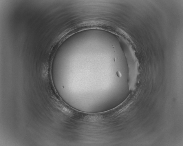 X0000074040778200609061206