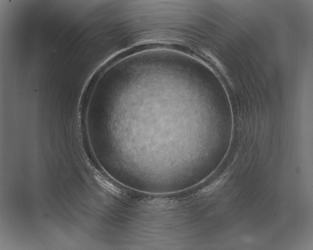 X0000074040779200609061206