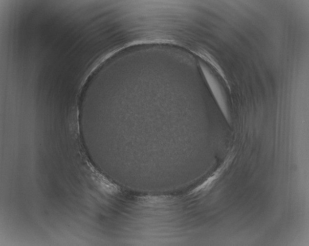 X0000074040781200609061206