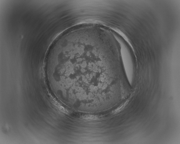 X0000074040783200609061206