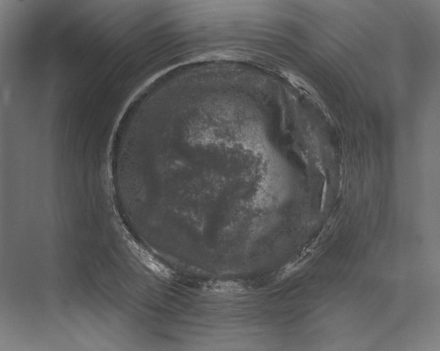 X0000074040784200609061206