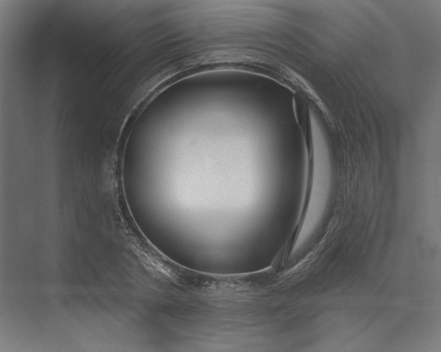 X0000074040786200609061206