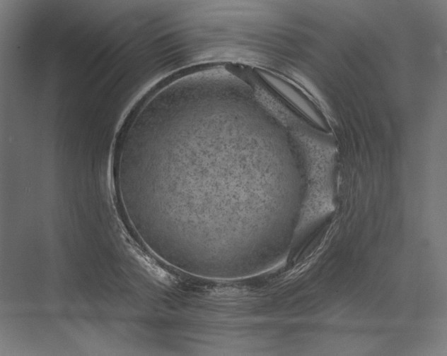 X0000074040788200609061206